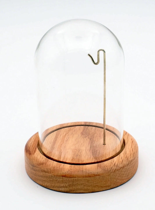 Pocket Watch Display Dome - Natural Satin Wood Base – 3" x 4"